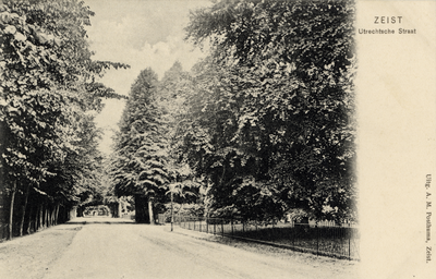 15678 Gezicht in de Utrechtseweg met loofbomen te Zeist uit het noordwesten.